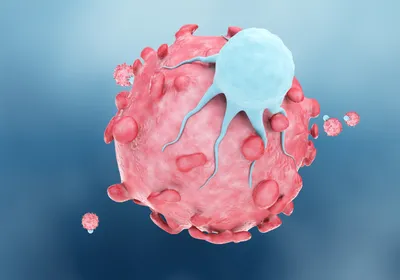 T-cell targeting cancer cells T-cell targeting cancer cells